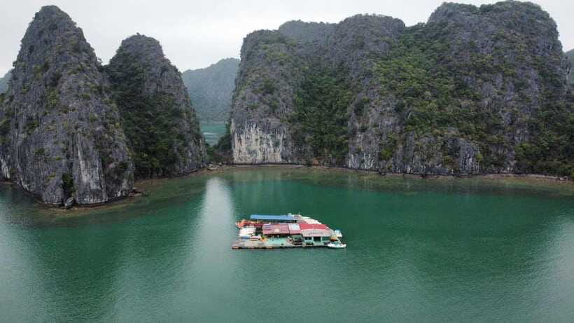 CAT BA :2D1N Lan Ha bay-Ha Long bay with Plankton Excursion - Who will enjoy this trip most?