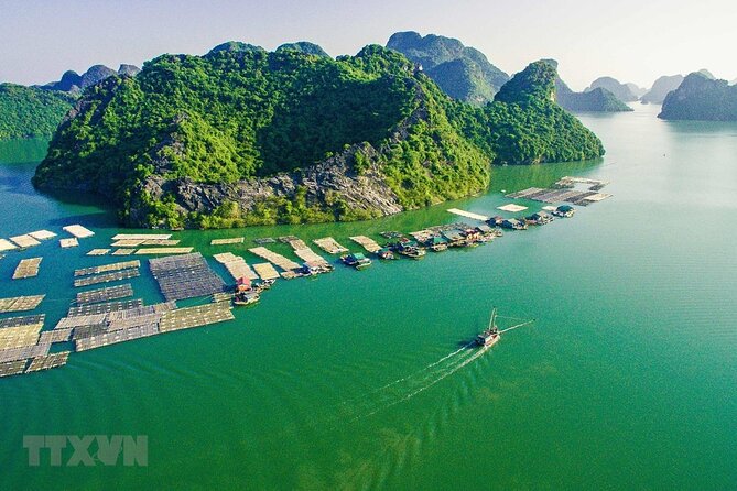 Cat Ba Cruise 2 Days 1 Night - Cabins, Cruise Choices, and What the $90 Covers