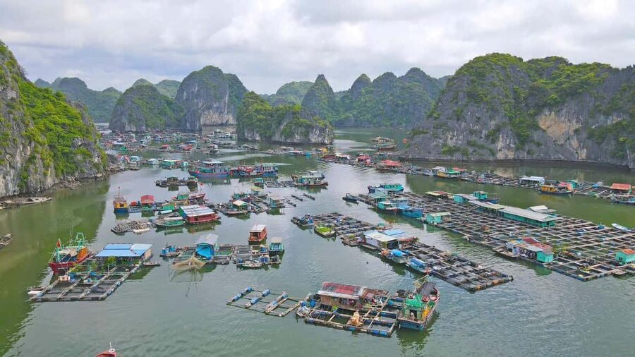 Cat Ba/Ha Noi: Lan Ha and Monkey Island Full Day Boat Trip - Kayaking through Bright and Dark Cave