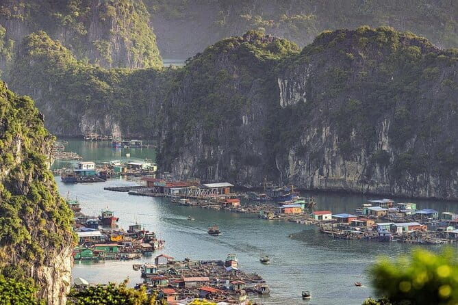 Cat Ba: Sunset & Bioluminescent Kayaking on Lan Ha Bay - Swimming among Lan Ha Bay’s limestone islets