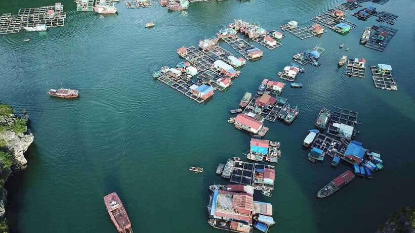 Cat Ba: Sunset on Lan Ha Bay with Sunset Party - Jacuzzi, waterslide, and the boats playful side