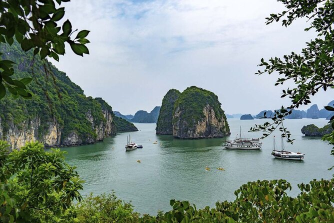 Catherine Cruise 2 Days/1 Night with 6 Star Cruise - Who will enjoy Catherine Cruise most?