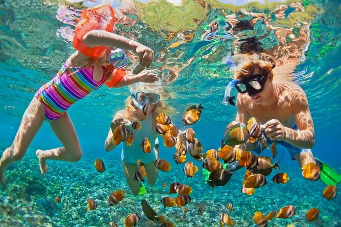 Cham Island Daily-Snorkeling(Optional:Pick up at Cua Dai Port) - The fast crossing to Cu Lao Cham