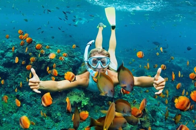Cham Island Daily-Snorkeling(Optional:Pick up at Cua Dai Port) - What the 45-minute snorkeling session is really like