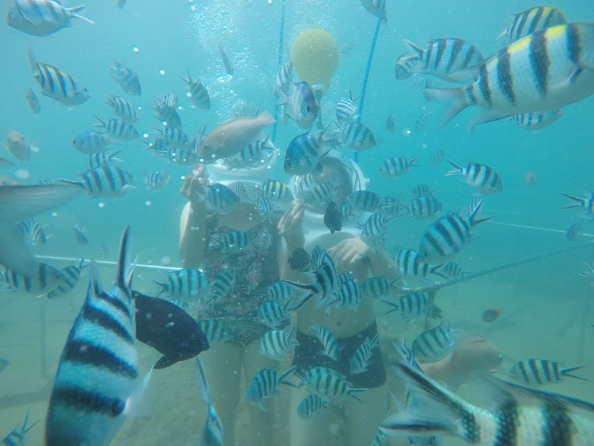 Cham Island: Underwater Walking & Snorkeling Tour - The one-hour crossing from Cua Dai Wharf