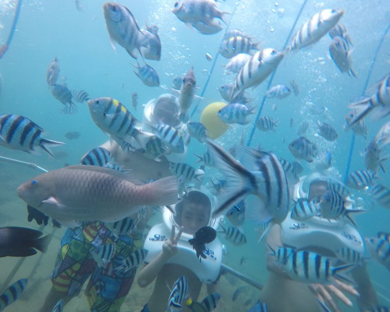 Cham Island: Underwater Walking & Snorkeling Tour - Snorkeling over Cham Island’s reef