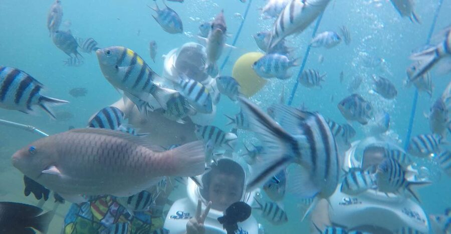 Cham Island: Underwater Walking & Snorkeling Tour - How the helmeted underwater walk works