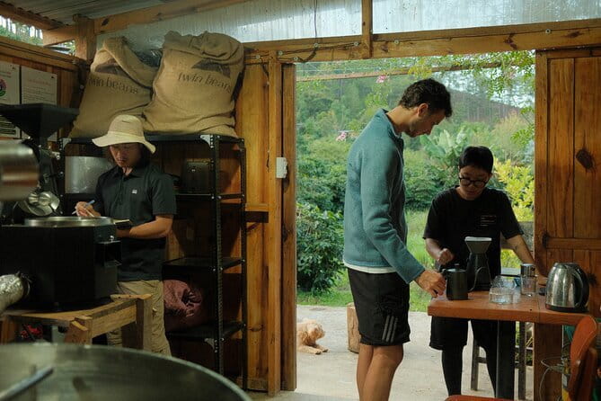 Coffee Farm Tour with Roasting & Tasting Workshop - Da Lat - Walking Through Twin Beans Farm