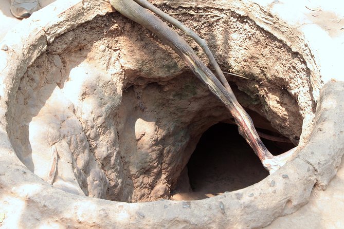 Cu Chi Tunnels and Mekong Delta Full Day Tour - Max 12 - Who should book this day trip?