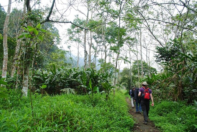 Cuc Phuong National Park Private Day Tour: Trekking & Primates - What the Cuc Phuong day is really about