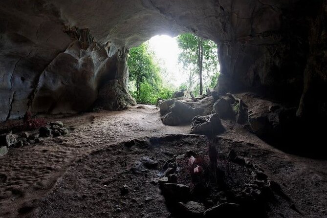 Cuc Phuong National Park Private Day Tour: Trekking & Primates - Who should book this day?