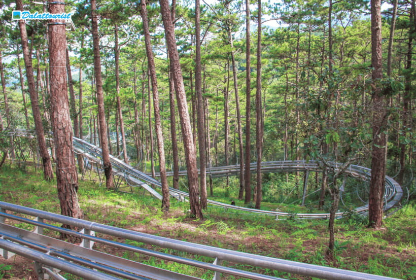 Da Lat: Datanla New Alpine Coaster Experience Entry Ticket - Why the Datanla coaster is more than a simple amusement ride