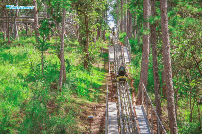 Da Lat: Datanla New Alpine Coaster Experience Entry Ticket - The 20-meter waterfall and Prenn Pass setting