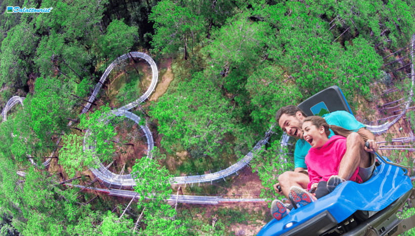 Da Lat: Datanla New Alpine Coaster Experience Entry Ticket - How the 2,400-meter ride works