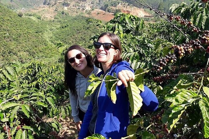 Da Lat Loop Tour On Motorbike - Private Tour - Me Linh Coffee Garden and Van Thanh flowers