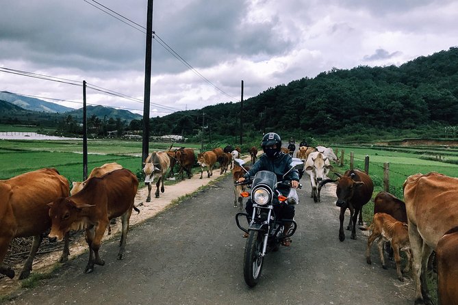 Da Lat's Countryside & Waterfalls Day Tour by Motorbike - Key points before you book