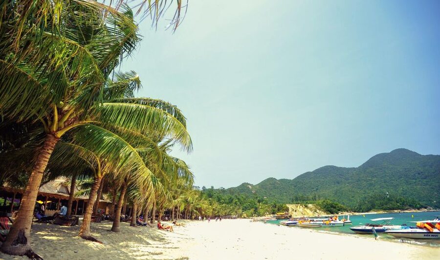 Da Nang/Hoi An: Cham Island Speedboat Tour with Snorkeling - The 45-minute reef stop