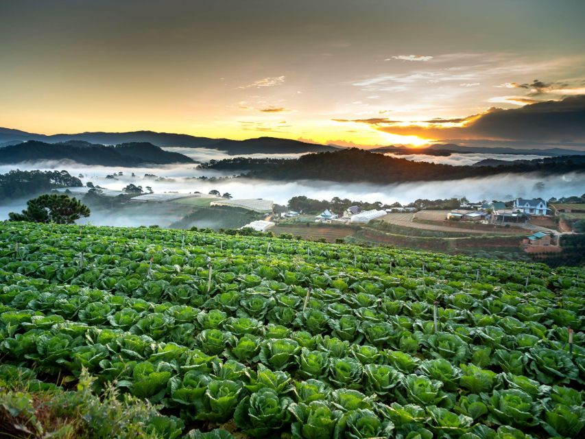 Dalat: Best of the Countryside Tour in a Private Car - The guides make a real difference