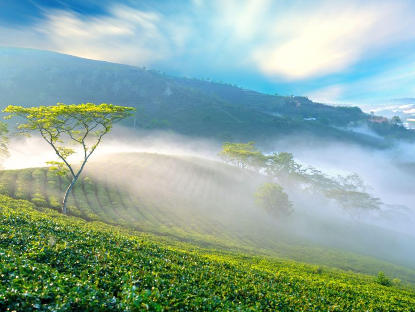 Dalat: Best of the Countryside Tour in a Private Car - From Dalat flowers to the first coffee cup