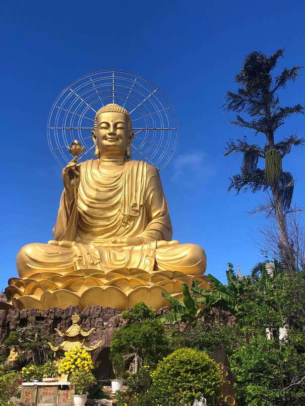 Dalat City Tour with Cable Car, Alpine Coaster & Clay Tunnel - Key points at a glance