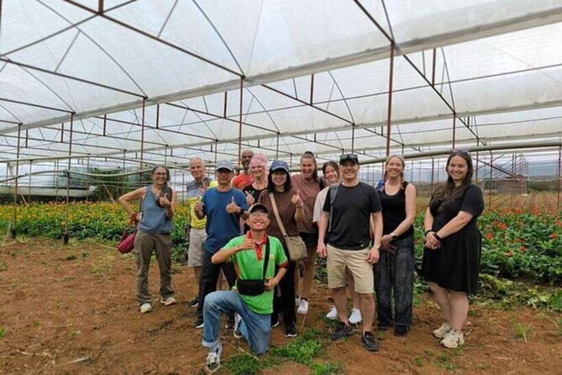 Dalat Countryside & Pongour Waterfall Tours (Small Group) - Key points to know before you go