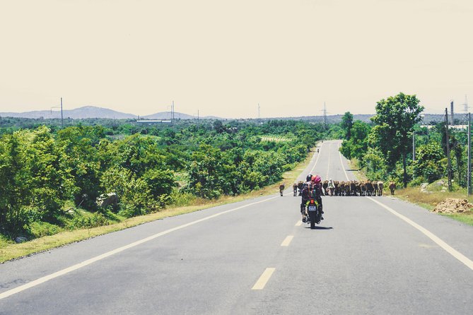 Dalat Go Kart - Mongoland & Dalat Countryside Group Tour - Coffee and highland views at Melinh Coffee