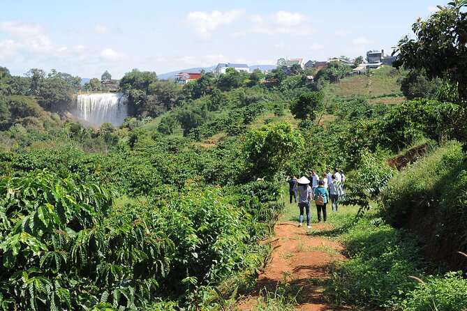 Dalat's countryside|Coffee Plantations Tour beyond Elephant falls - Meeting a farmer with 30 years of experience