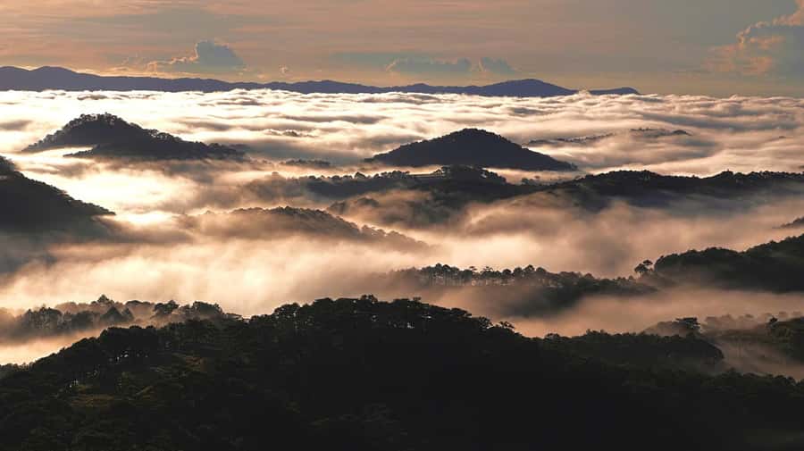 Dalat: Sunrise Trekking and Cloud Hunting experience - Is the $36 price good value?