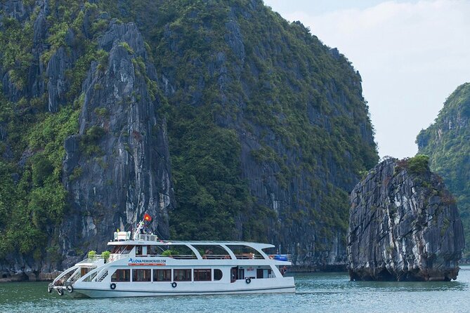 DELUXE Halong Cruise 1 Day Tour From Hanoi - Daily Operated - The boat, guide, and service