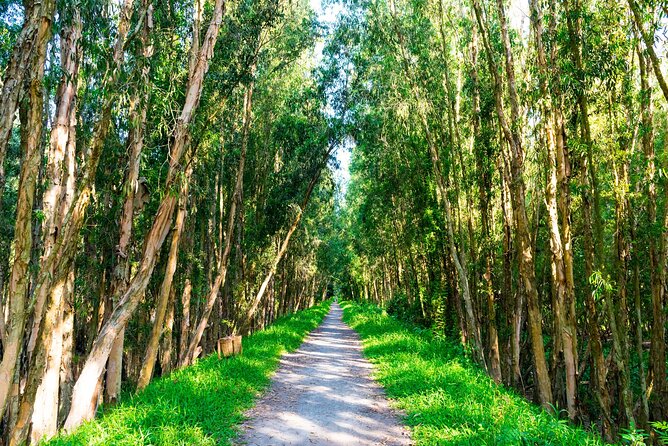 Discover Mua Xuan Nature Reserve - A 30-minute walk among the trees