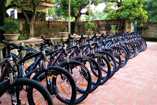 Discover Trang An Natural World Heritage, Bich Dong Pagoda, Cycling Day Tour - Cycling through rice fields and village roads