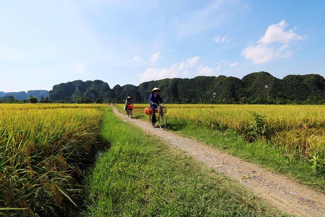 Discover Trang An Natural World Heritage, Bich Dong Pagoda, Cycling Day Tour - What the $79 price includes