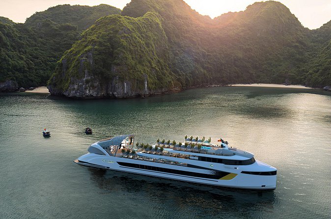 Dolphin Cruise – Experience Halong Bay in Timeless Luxury - Who gets the best value from the $76.80 price