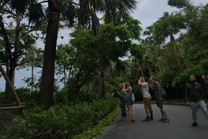 Endangered Monkeys Watching - Red Shanked Douc Langurs - Weather, comfort, and who should skip it