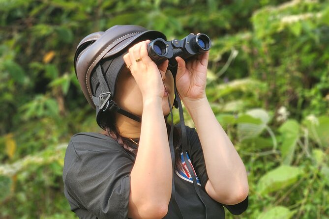 Endangered Monkeys Watching - Red Shanked Douc Langurs - The motorbike ride from Da Nang to Monkey Mountain