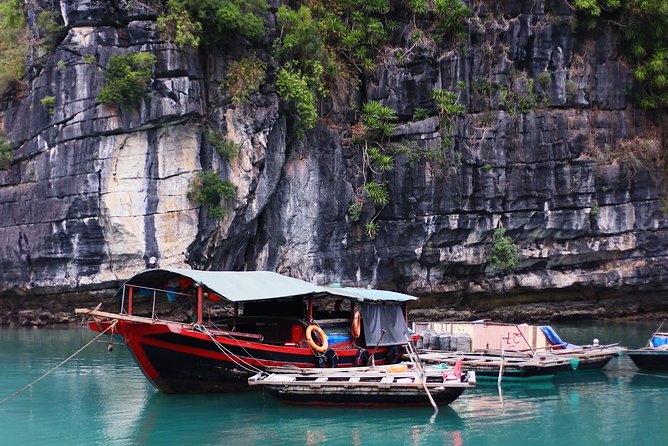 Excursion to Ha Long Bay with Titop Island and kayaking in Luon Cave - Swimming or climbing at Ti Top Island