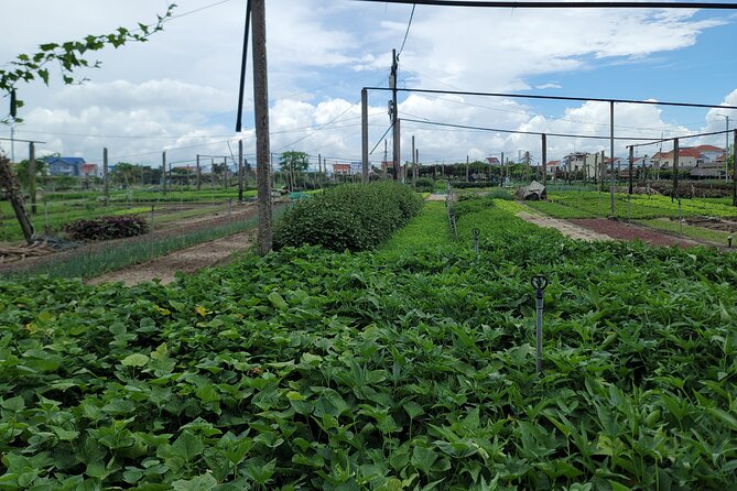 Explore Hoi An ancient town and local villages with a local guide - Tra Que Vegetable Village and the farming side of Hoi An