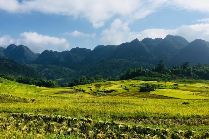Explore Mai Chau - Pu Luong - Ninh Binh 4 Days / 3 Nights - Key points to know before booking
