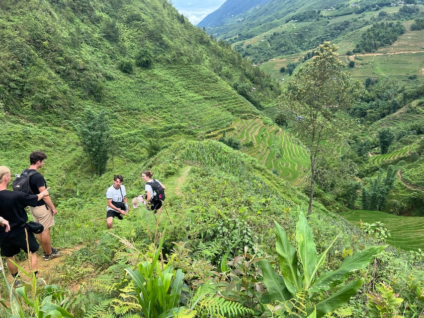 Explore Sapa by TrekkingAdventures, Mountain,Rice fields - Who should choose this Sapa walk