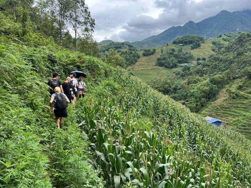 Explore Sapa by TrekkingAdventures, Mountain,Rice fields - Starting in Sapa and descending to Y Linh Ho