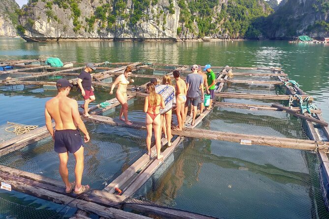 From Ha Noi/Cat Ba: Full-Day Cruise to Lan Ha bay - Ha Long Bay - Kayaking through Dark, Bat, and Bright caves