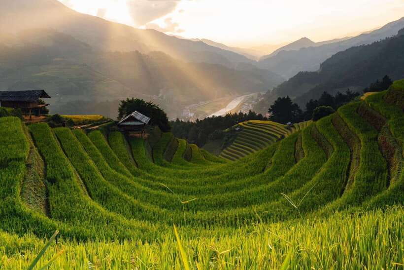 From Hanoi: 1-day Sapa Trekking Tour With Overnight Bus - Key Points