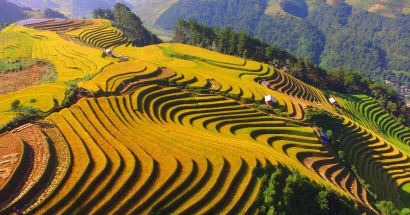 From Hanoi: 1-day Sapa Trekking Tour With Overnight Bus - Who Should Book This Sapa Day?