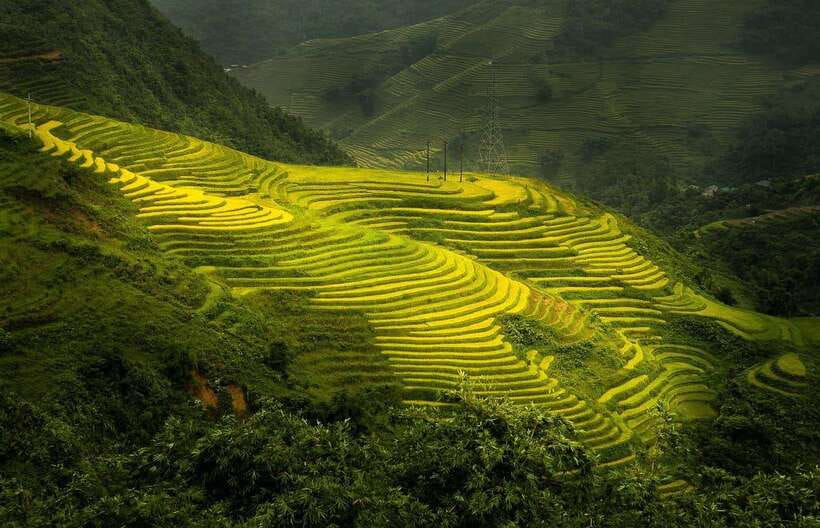 From Hanoi: 1-day Sapa Trekking Tour With Overnight Bus - Breakfast and a Quick Start in Sapa
