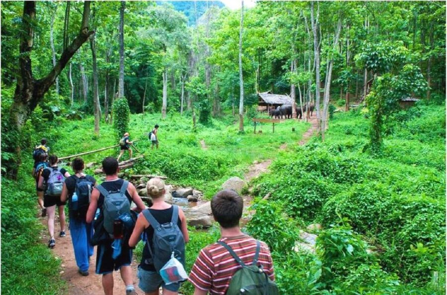From Hanoi: 2-Day Ha Long Bay Tour with Ninh Binh and Cruise - Ha Long Bay begins with an early road transfer