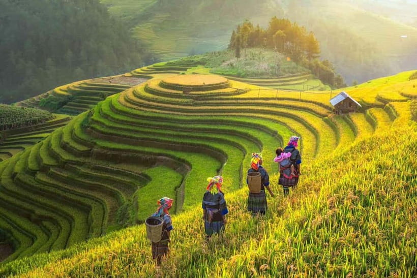 From Hanoi: 2-Day Luxury Sapa Trekking Tour with Homestay - Why this Sapa trip works for active visitors