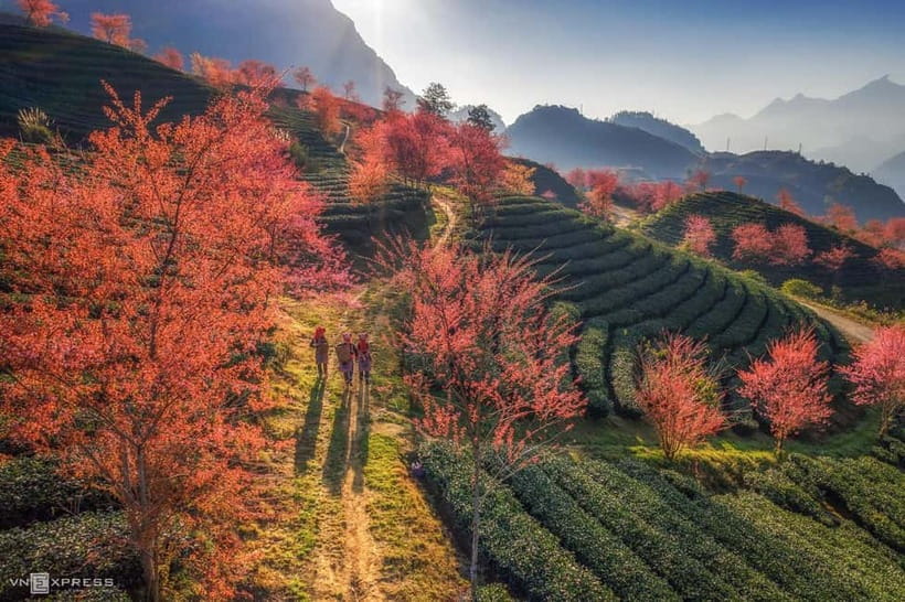 From Hanoi: 2-Day Luxury Sapa Trekking Tour with Homestay - The overnight bus from Hanoi to Sapa