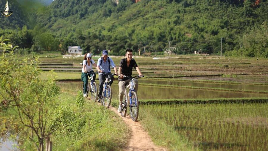 From Hanoi: 2-Day Ninh Binh Tour with Ha Long Bay Cruise - Day two: Ha Long Bay by cruise boat