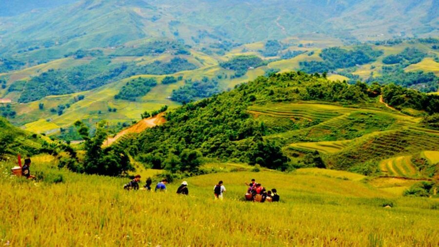 From Hanoi: 2-Day Overnight Sapa Tour by Limousine - Who should choose this Sapa trip