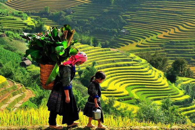 From Hanoi: 2-Day Overnight Sapa Tour by Luxury Van Limousine - What this Sapa trip is really like